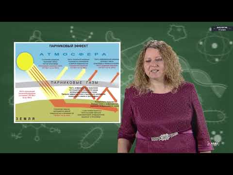 Видео: Биология - 11 класс - Современные экологические проблемы