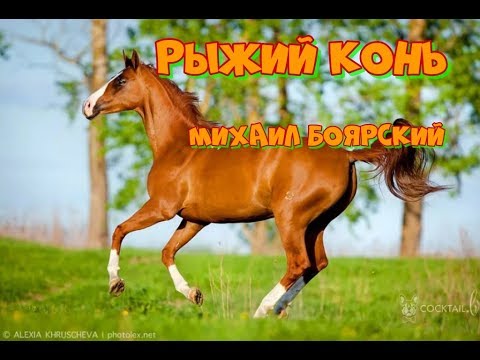 Видео: Рыжий конь-Михаил Боярский