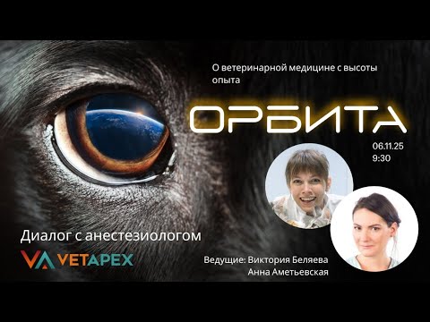 Видео: "ОРБИТА" с врачом УЗ-диагностики Викторией Беляевой  и анестезиологом Анной Аметьевской