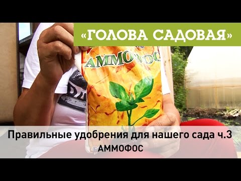 Видео: Голова садовая - Правильные удобрения для нашего сада ч.3 (Аммофос)