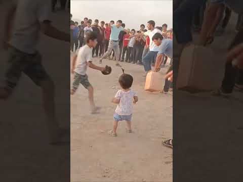 Видео: Туи дар Хочибои чон