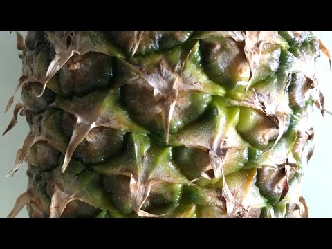 Видео: Стоит ли покупать WJdiag Pro для Jeep Grand Cherokee 2,7 WJ?