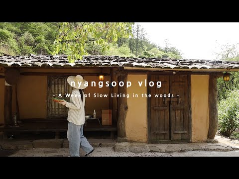 Видео: Неделя медленной жизни в лесу | Исцеление путешествия Vlog в Корее 🌿
