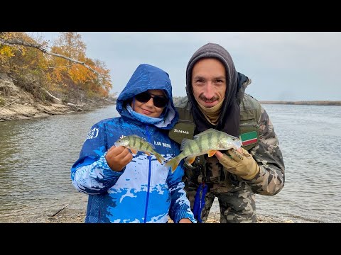 Видео: Взял УЛЬТРАЛАЙТ в Томскую область! Ловля окуня на микроджиг 2022. Микроджиг осенью.