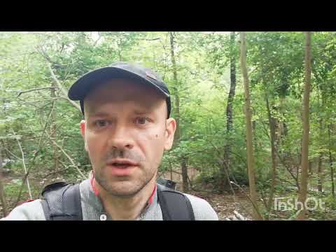 Видео: выпуск 73. Возврат кауции. Польша. Первый опыт моих друзей.