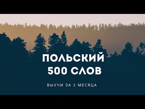 Видео: 500 слов ПОЛЬСКОГО языка. Польский за 2 месяца