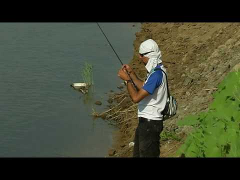 Видео: Видеокарта уловистых мест Pоссии. Сезон 1. Река Ахтуба