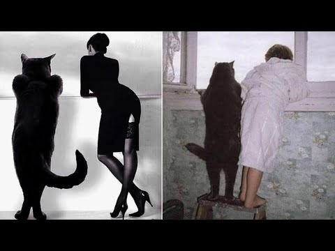 Видео: МИЛЛИОНЕРОЖДАЛКИ