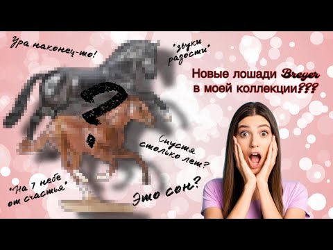 Видео: Мои новые BREYER/Брейеры???? Новинки в коллекции лошадей
