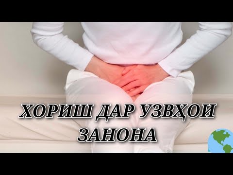 Видео: ОСНОВНЫЕ ПРИЧИНЫ ЗУДА У ЖЕНЩИН. ПРОСТОЙ СПОСОБ ОПРЕДЕЛИТЬ #зуд #женщины #здоровыйжизньД-р Самира