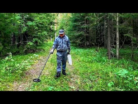 Видео: Поиск с металлоискателем