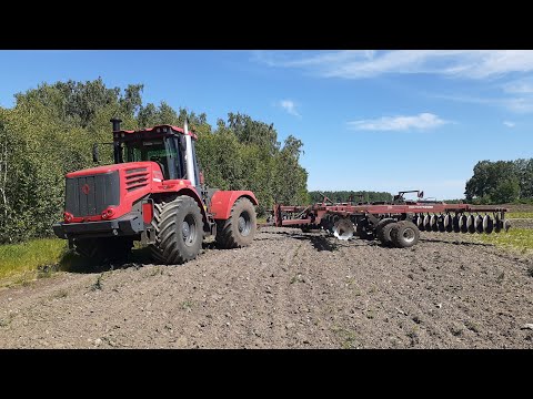 Видео: трактор К-742Ст, DX-850/970 продолжаем работать на парах, мухи атакуют.