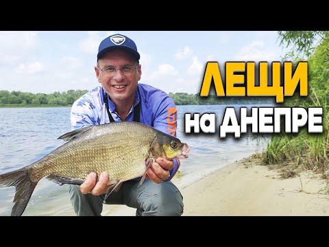 Видео: Крупные днепровские лещи! Рыбалка, когда Дядя Фёдор уходит с клёва!