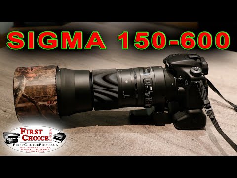 Видео: SIGMA 150-600 Contemporary // Мой ЛЮБИМЫЙ объектив // ЕСЛИ БЫ я только мог снимать им свадьбы!!
