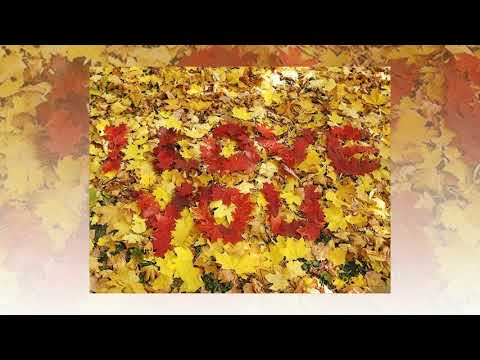 Видео: это я по тебе скучаю...