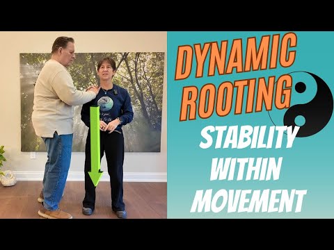 Видео: Динамическое укоренение в тайцзи: стабильность в движении