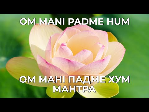 Видео: ОМ МАНІ ПАДМЕ ХУМ! Велика мантра співчуття, очищення і захисту! #mantra #ommanipadmehum #мантра