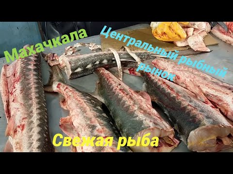 Видео: ЦЕНТРАЛЬНЫЙ РЫНОК. СВЕЖАЯ РЫБА.МАХАЧКАЛА