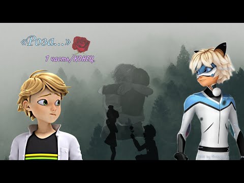 Видео: ч.о. «Роза...» 1 часть/КОНЕЦ. |переписки леди баг и супер кот/кот нуар|ⲖⲉⲇυⲘⲁⲣυ