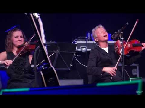 Видео: Сурганова и оркестр А2 29.11.2013 Питер