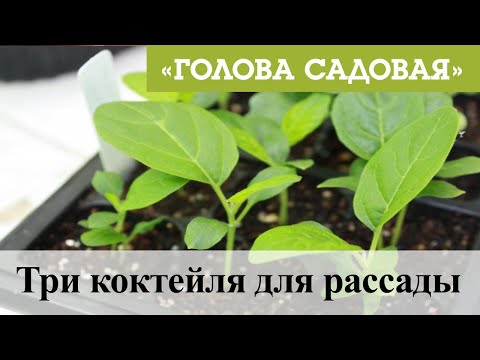 Видео: Голова садовая - Три коктейля для рассады