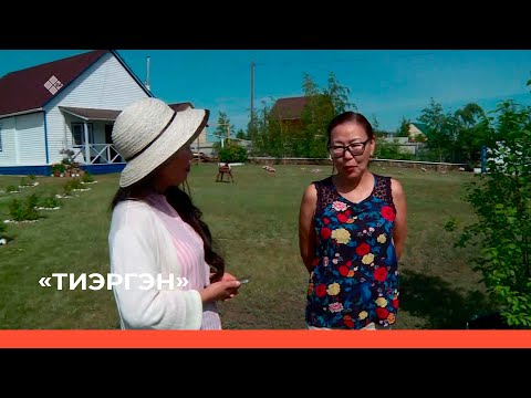 Видео: «Тиэргэн» биэриигэ Тулагы-Киллэм тупсаҕай тэлгэһэтин хаһаайката Альбина Илларионоваҕа (22.06.22)