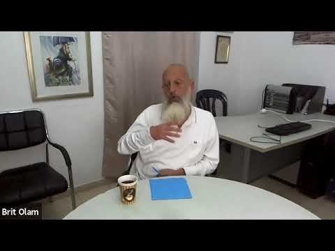 Видео: Разница между первыми шестью заповедями БН и седьмой, рав Йона Левин