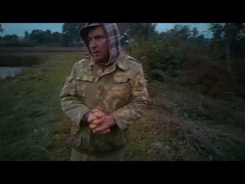 Видео: Как выращивают рыбу. Обзор прудов для разведения рыбы. Бизнес на селе.