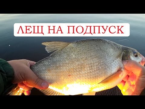 Видео: Рыбалка на подпуск. Ловля леща с лодки.