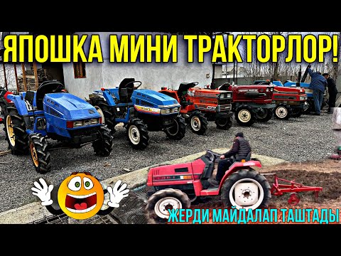 Видео: МИНИ ТРАКТОРЛОРДУН ДАДИЛДАРИ КЕЛДИ🤯 #байтв