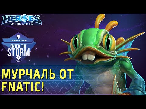 Видео: Мурчаль от Fnatic на Enter The Storm