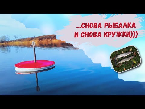 Видео: Ловим на кружки