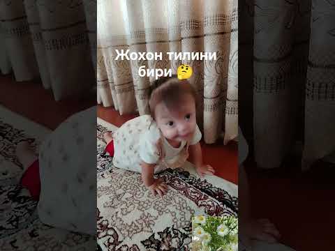 Видео: 29 августа 2025 г.