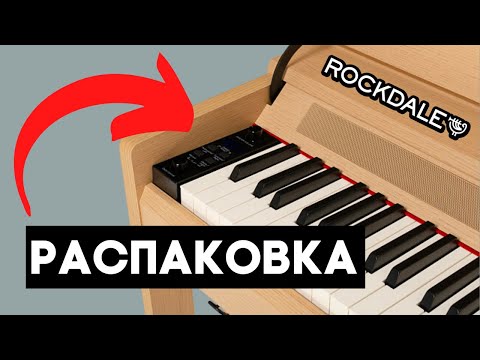 Видео: НЕ ПОКУПАЙ пока не увидишь ЭТО - что в коробке Rockdale Virtuoso