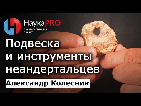 Видео: Подвеска и инструменты неандертальцев из стоянки «Рожок» в Ростовской области – Александр Колесник