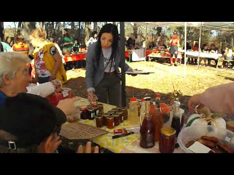 Видео: моменти от Празника на плодородието село Донино 01.11.2025