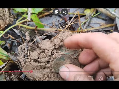 Видео: Находки