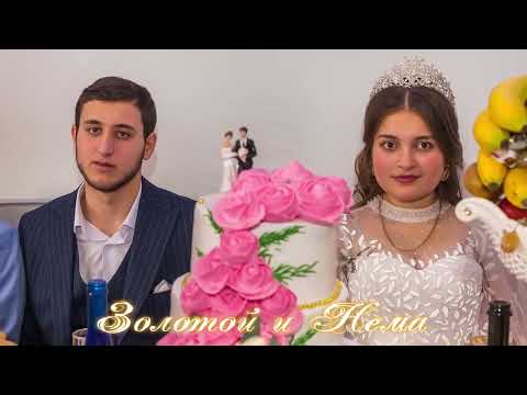 Видео: Цыганская свадьба Золотой и Нема 22 февраля 2024