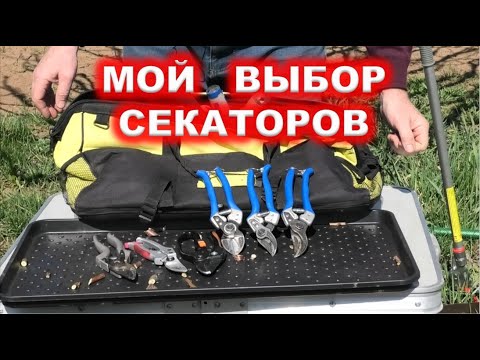 Видео: Мой ВЫБОР СЕКАТОРА для обрезки сада