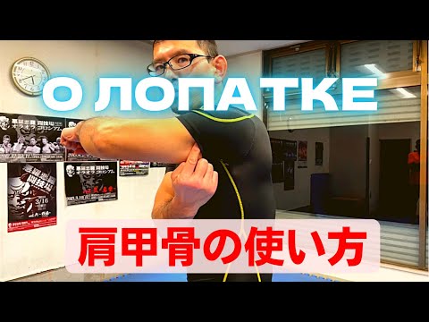 Видео: КАРАТЭ・ КАК ИСПОЛЬЗОВАТЬ СПИНУ ДЛЯ УСИЛЕНИЯ УДАРА・ УЭДА МАСАРУ