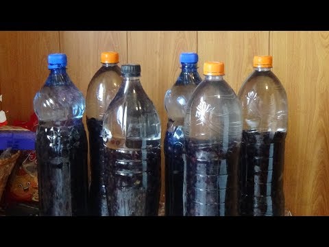 Видео: Настойка на черной смородине.СУПЕРВКУСНОТИЩЕ!!!!!!!!