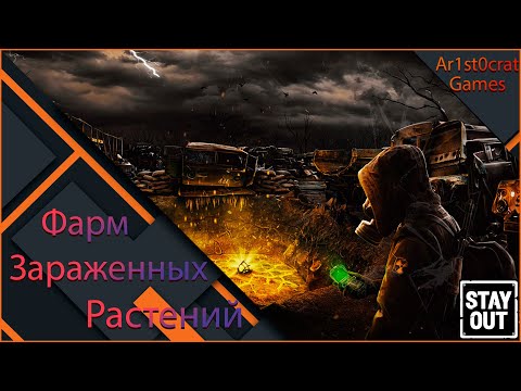 Видео: Фарм Зараженных Растений в Stalker Online/Stay Out