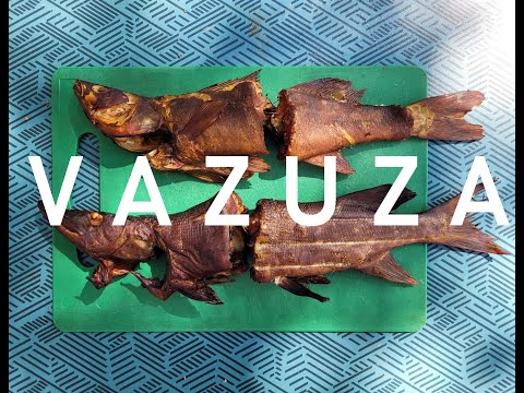 Видео: РЫБАЛКА НА ВАЗУЗЕ! СУДАКИ И ЩУКИ