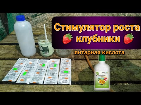 Видео: Стимулятор роста 🍓клубники🍓. Belklubnika.by