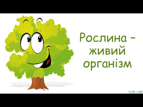 Видео: Рослина - живий організм