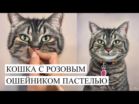 Видео: ПОРТРЕТ КОШКИ С РОЗОВЫМ ОШЕЙНИКОМ