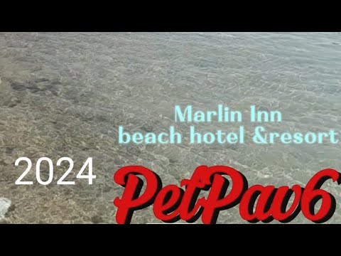 Видео: #Marlin Inn Azur#обзор#Египет#Хургада#июнь2024