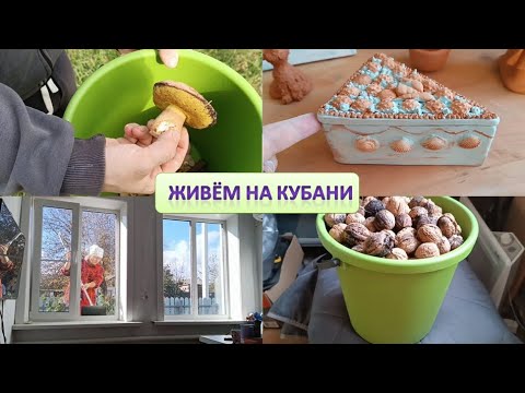 Видео: Удачный обжиг керамики // Повесила шторы // Набрали орехов // Съездили за грибами // Мотивация