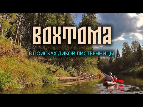 Видео: ВОХТОМА. В ПОИСКАХ ДИКОЙ ЛИСТВЕННИЦЫ. ЧАСТЬ 1.
