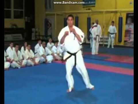 Видео: химна на карате шинкиокушин